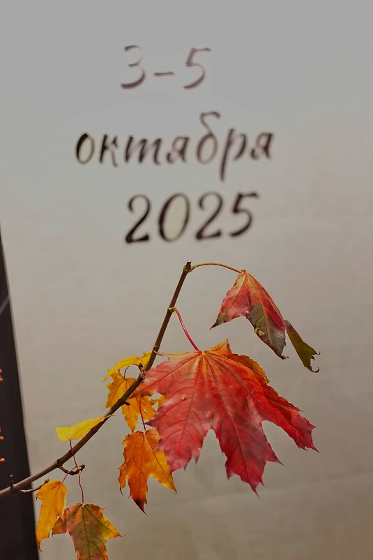 Икэбана - Тамара Вебер