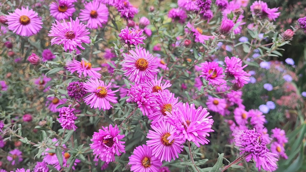 ,,, - Сергей Тимоновский