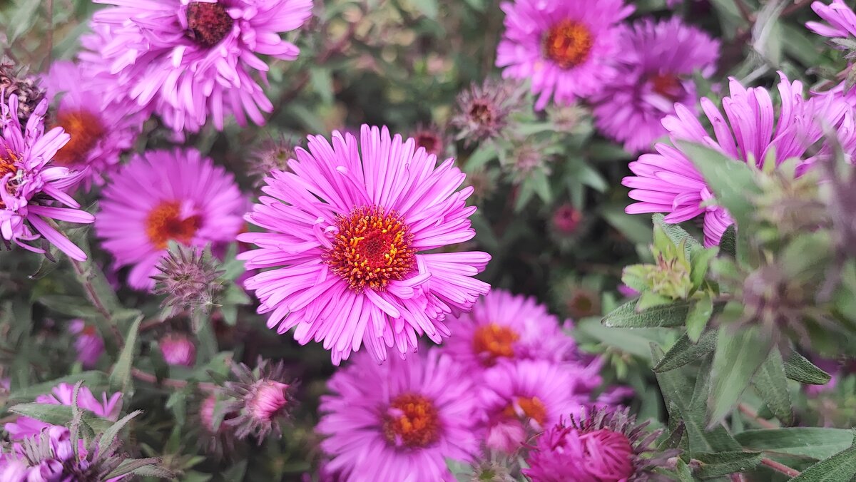 ,,, - Сергей Тимоновский