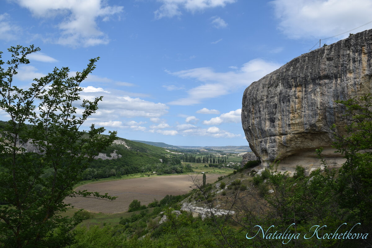 Природа Крыма - Amazing Cosmea Природа Крыма - Amazing Cosmea