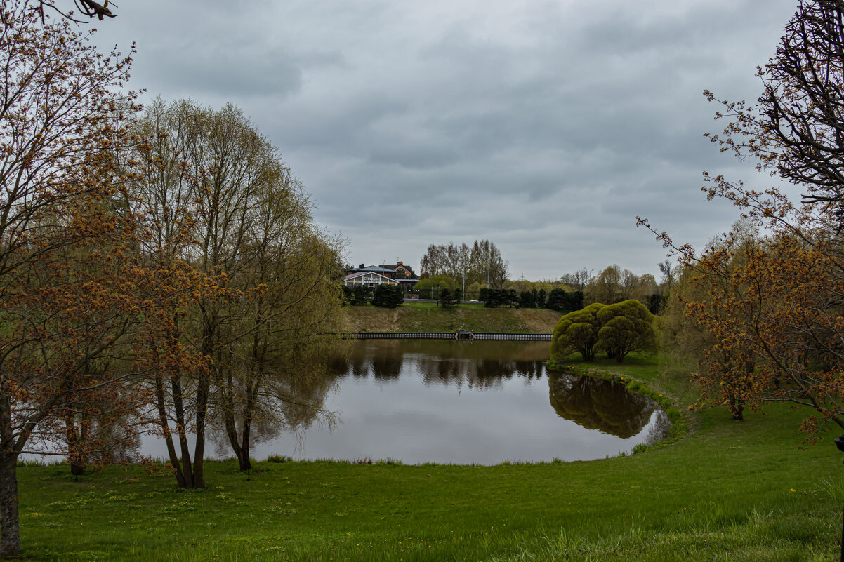 пруд - navalon M