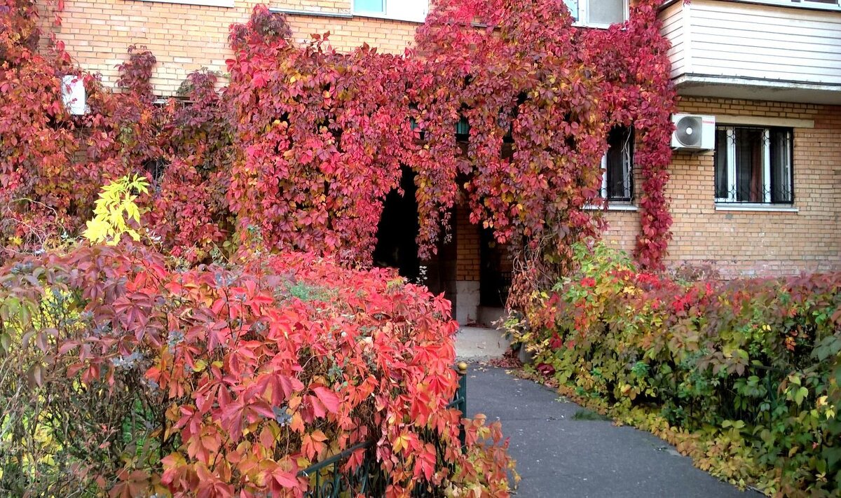 Осенний интерьер - Елена Семигина