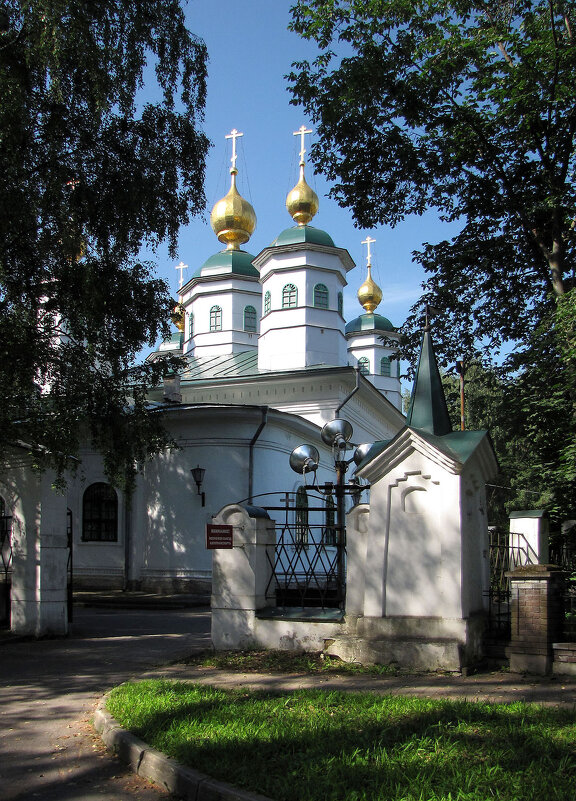 Собор Воскресения Христова - Александр Ильчевский 