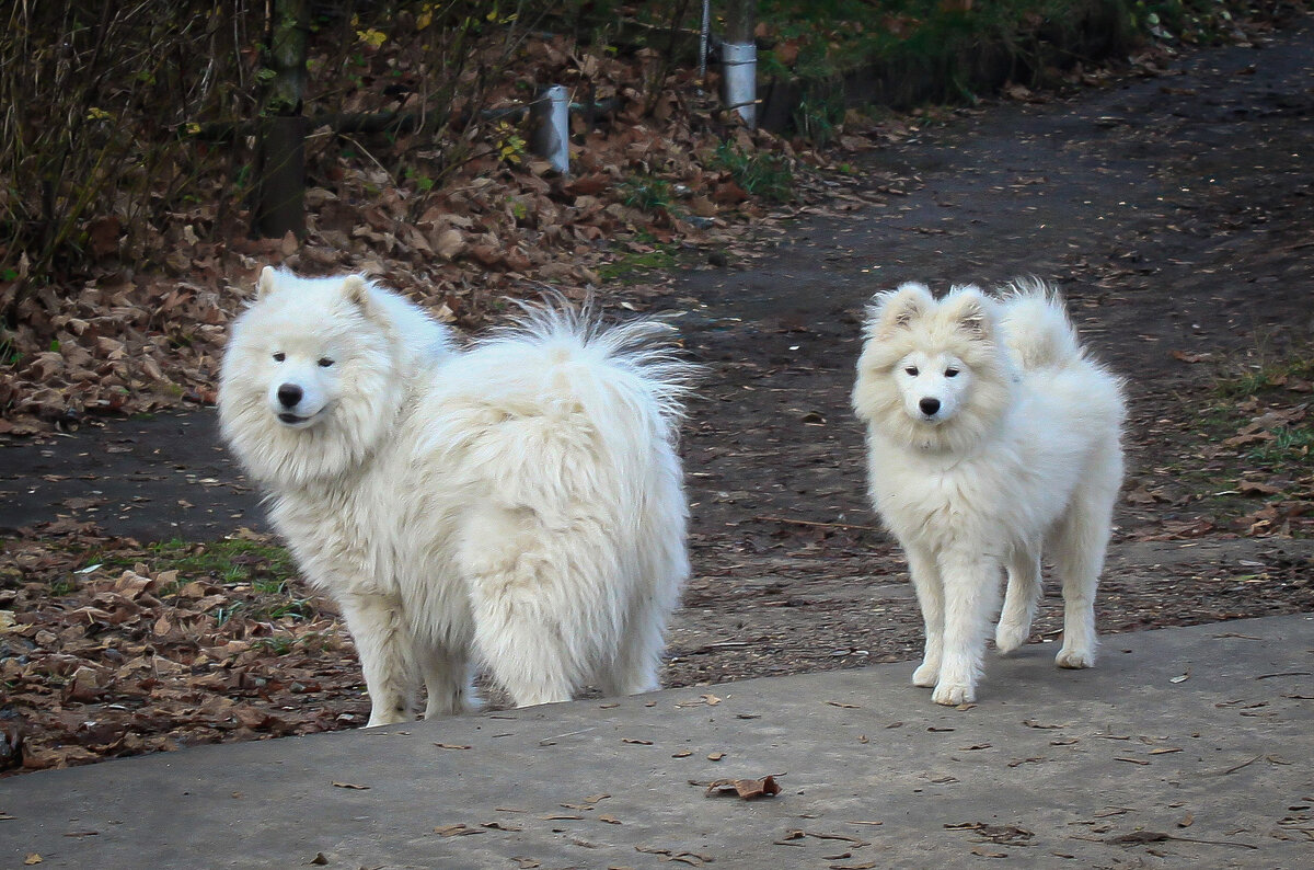 фоткаешь? ... - Владимир Зеленцов