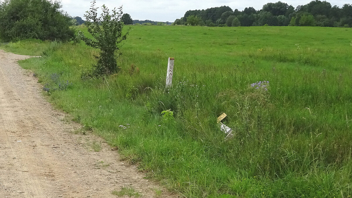 Когда пьяный рулевой  - rimgis 