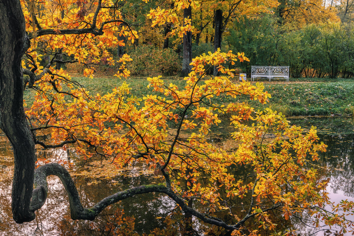 Про Питер - Владимир Колесников