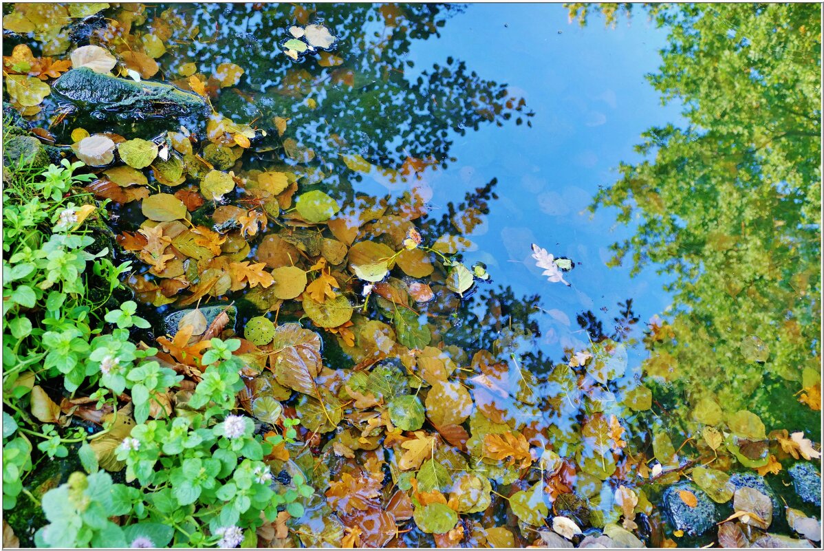 ОСЕНЬ... - Elvira E. 