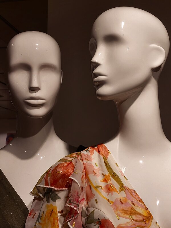 *** - Алла Булашевская