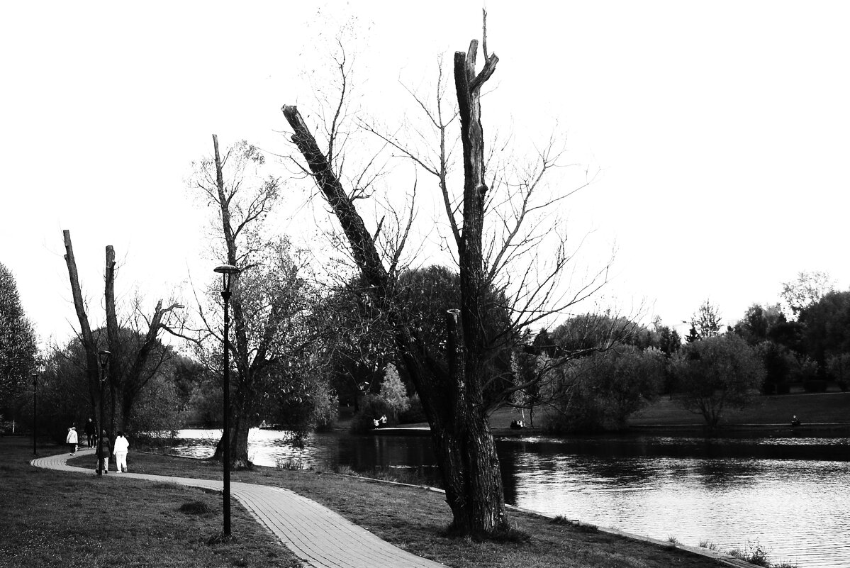 Обнажённые. - Василий Палий