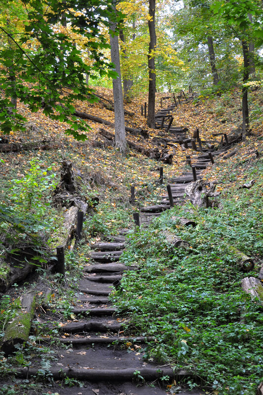 Нелёгкая дорога к роднику - Татьяна Машошина