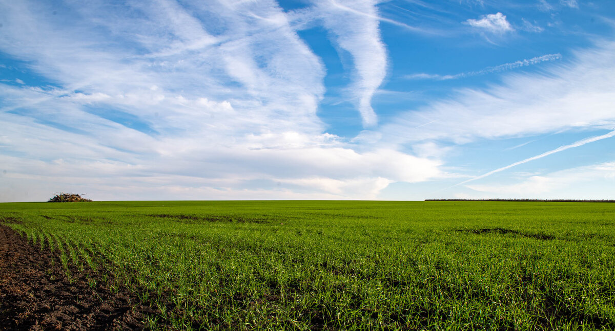 Пейзаж - Владимир Иванович