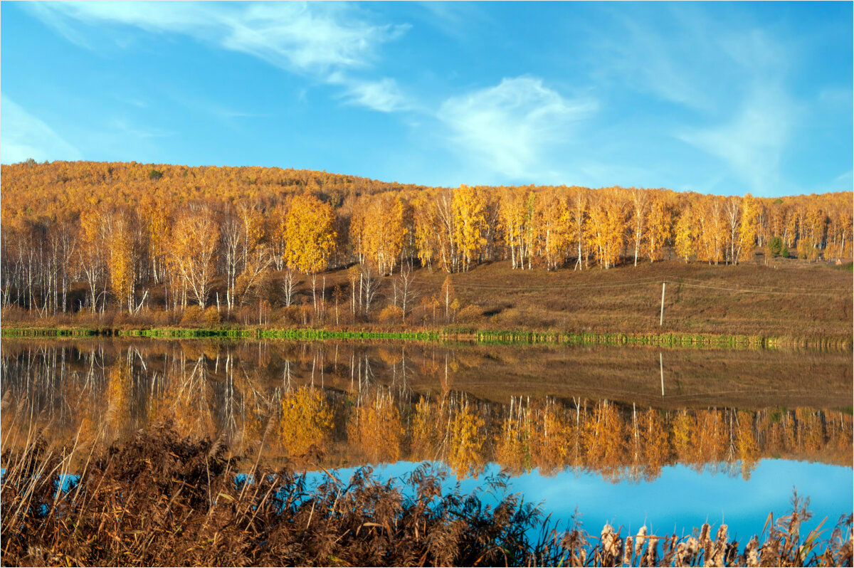 **** - Алексей Мезенцев