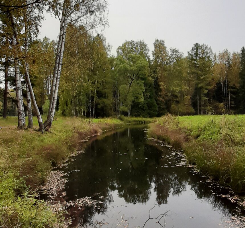 Осенний Павловск - Наталья Герасимова
