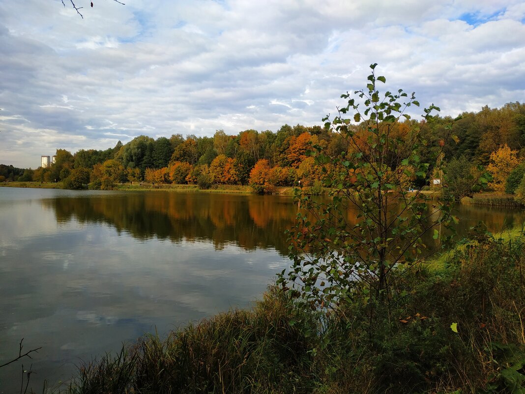 Зрелая осень - Андрей Лукьянов