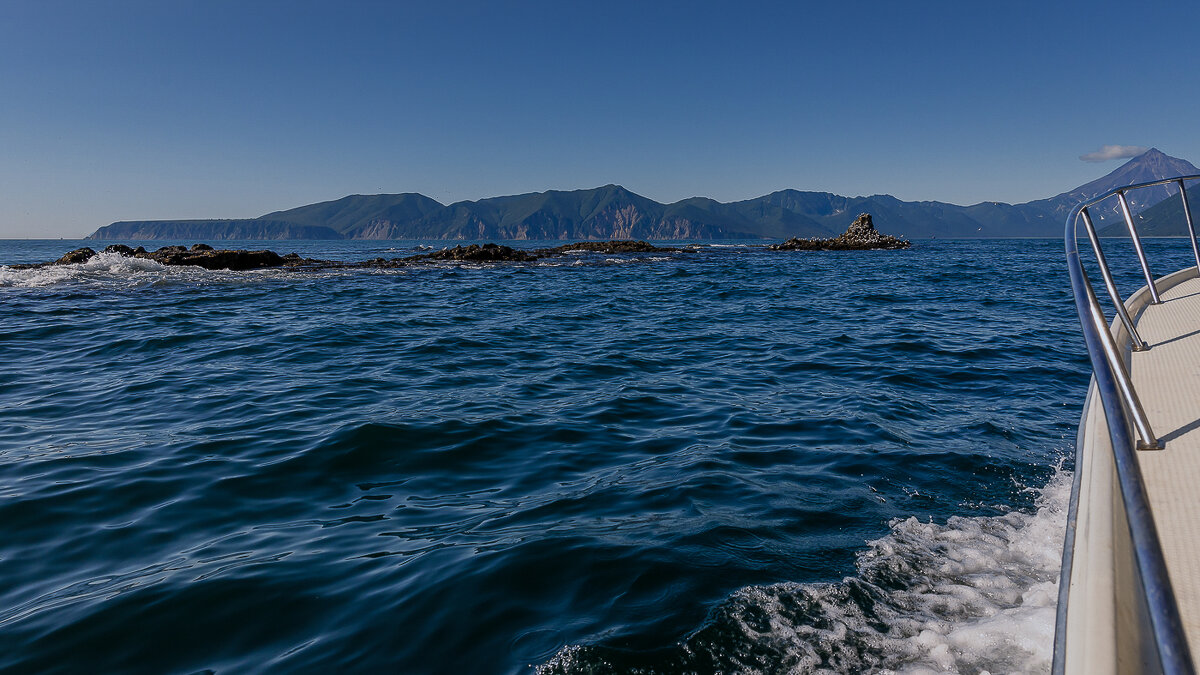 ... - Жора Житников