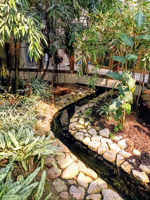 В павильоне Тропического леса - Veera V