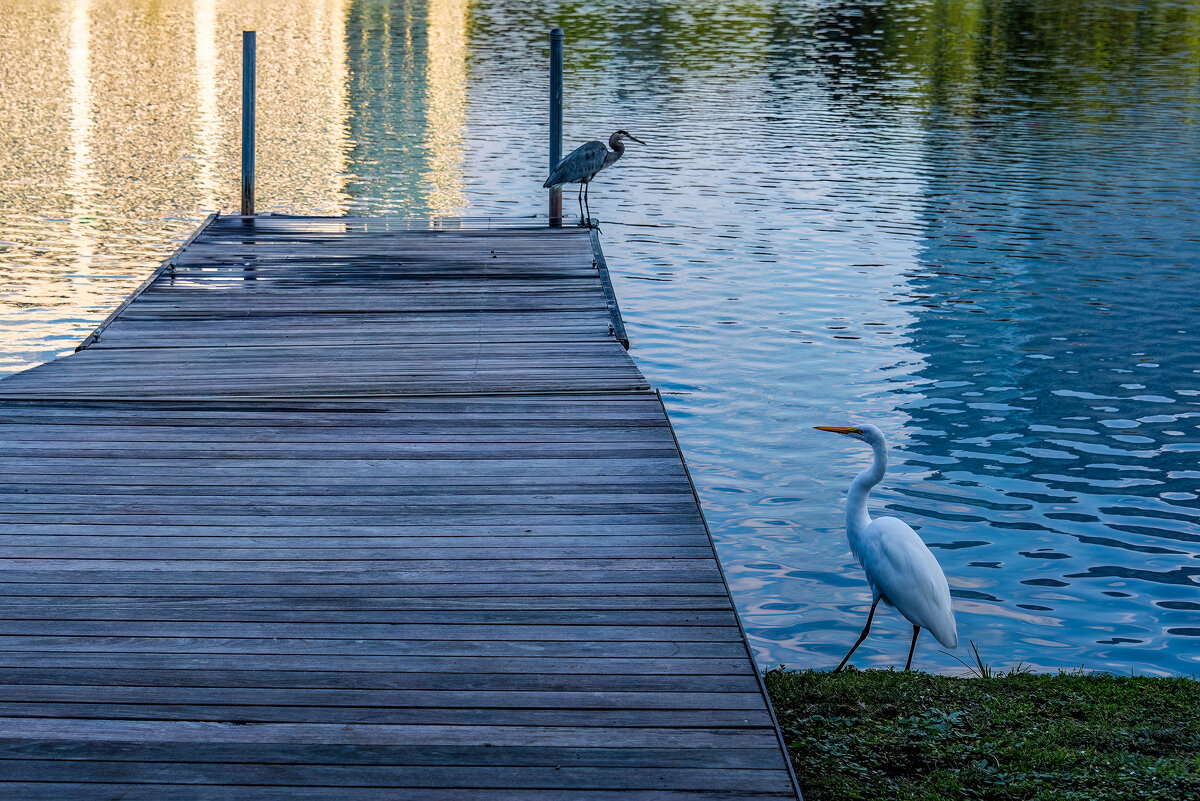 Утро - **** vedin