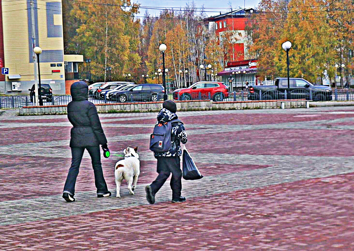 Октябрь...В школу втроем! - Владимир 