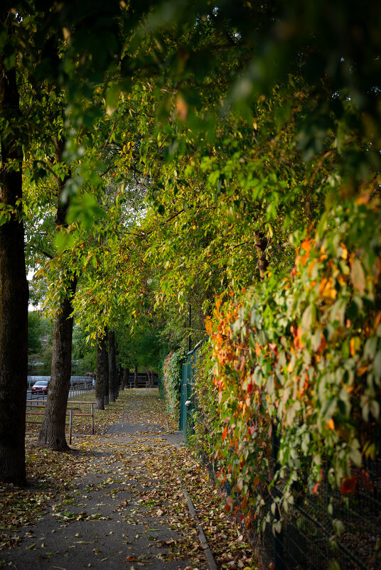 Осень - Вячеслав Дроздов