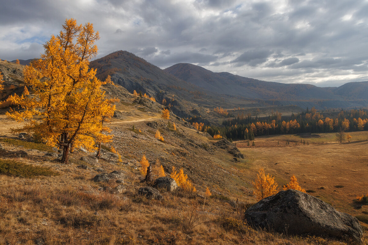 Алтайская осень - Sergey38 