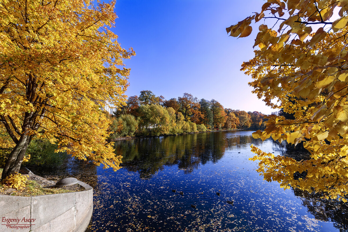 Осень на Елагином - Евгений 