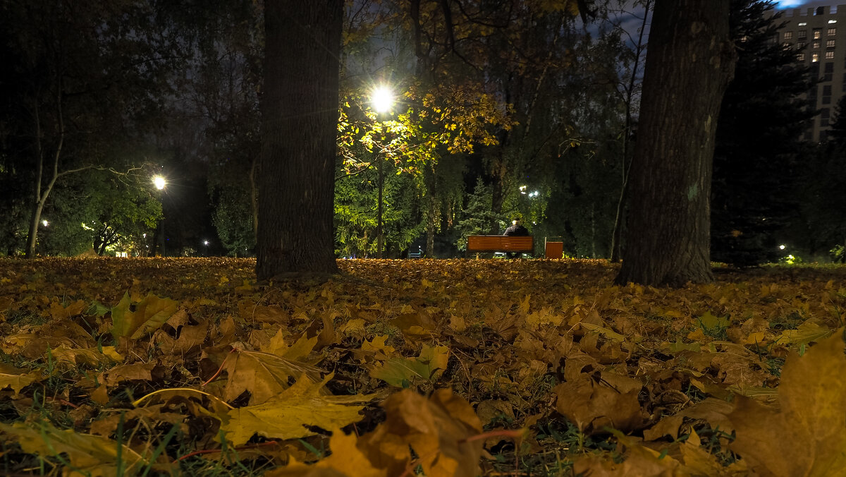 Осеннний Вечер в Городе - юрий поляков
