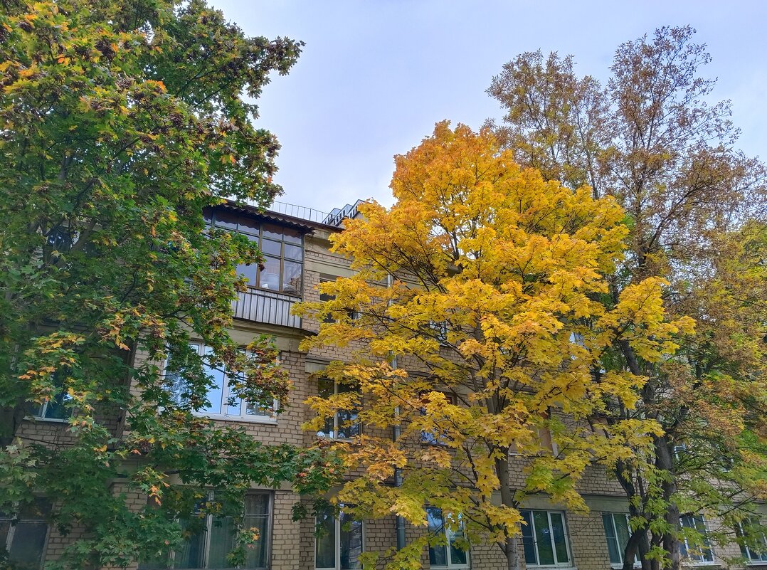 Октябрь в городе... - Мария Васильева