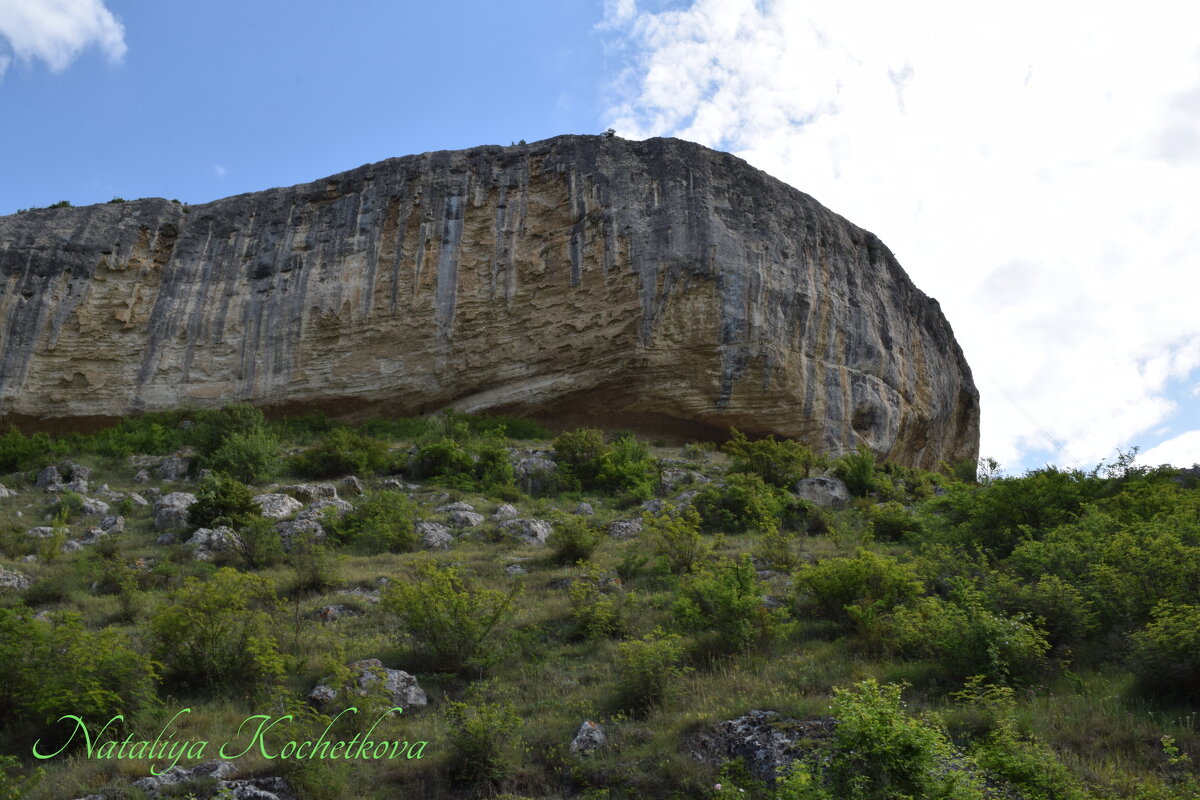 Природа Крыма - Amazing Cosmea