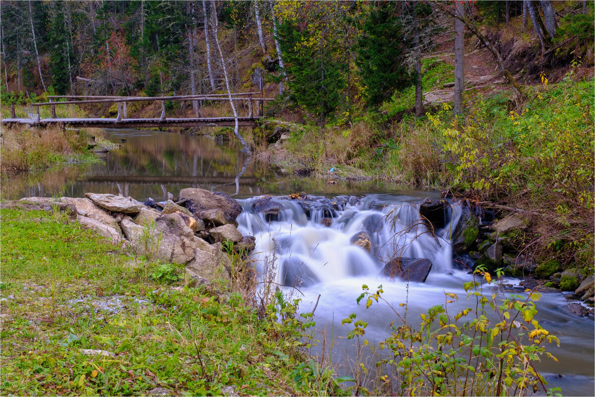 *** - Алексей Мезенцев