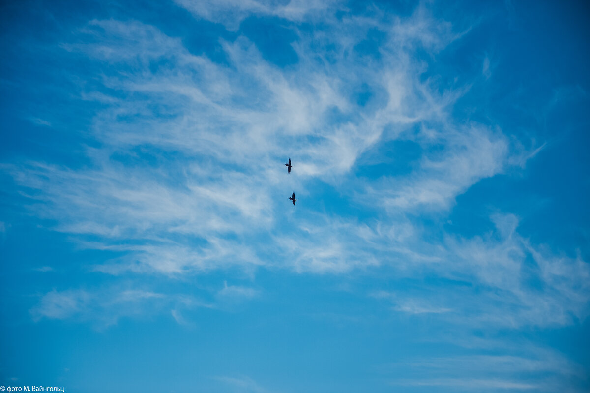 Воздушный бой (серия) - Михаил 