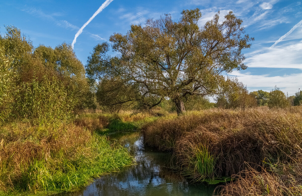 Осень достала краски - Андрей Дворников