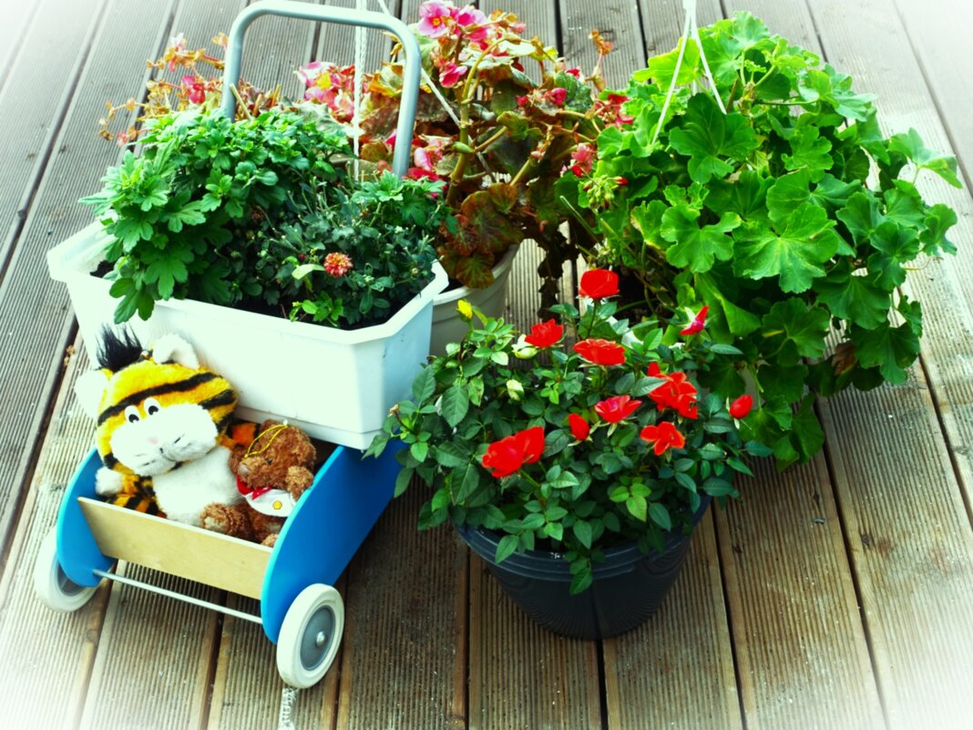 Небольшой украшенный уголок в центре города - Aida10 