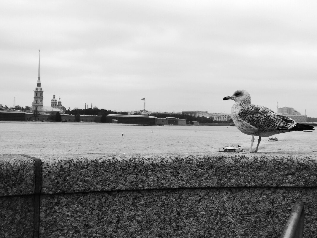 Осень... - Ирина Жигунова