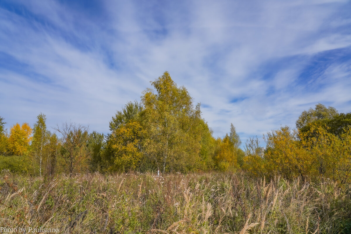 Под небом октября... - Владимир Жданов