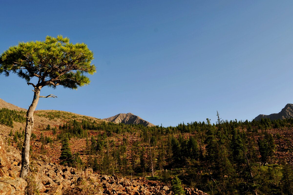 Природа Саян - Евгений 