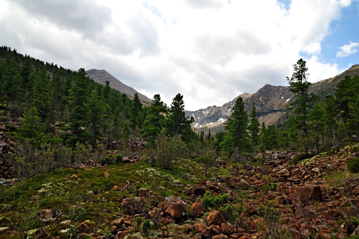 Борус - Евгений 