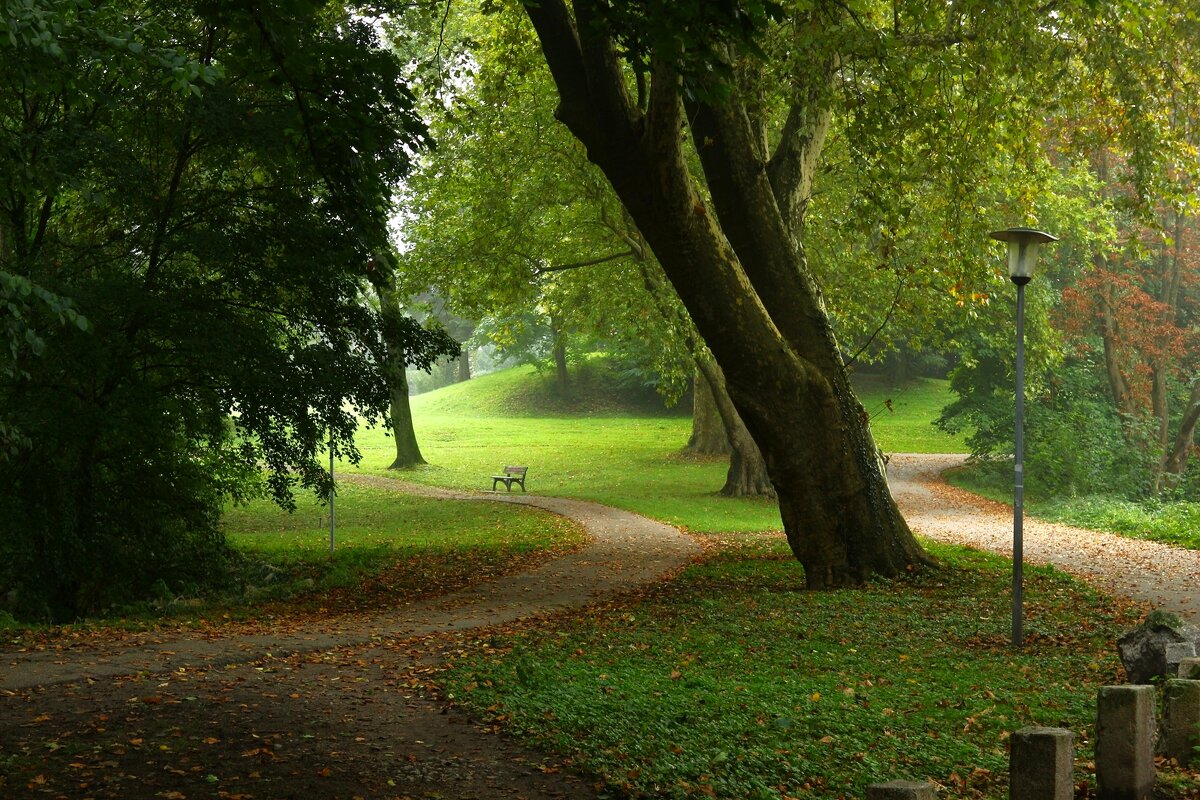 Осени начало - Юрий. Шмаков