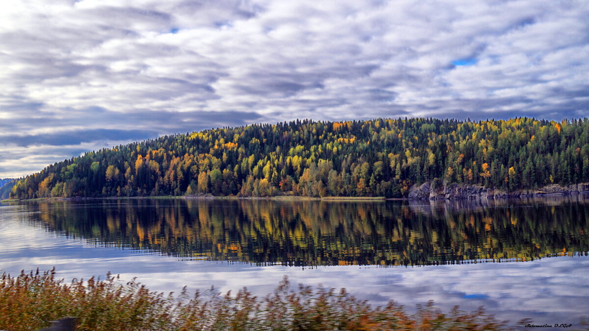 разноцветье..... - Ольга Cоломатина