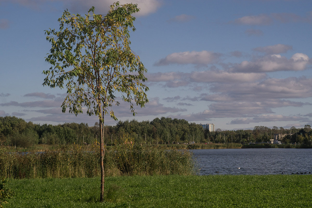 Начало осени - VL 