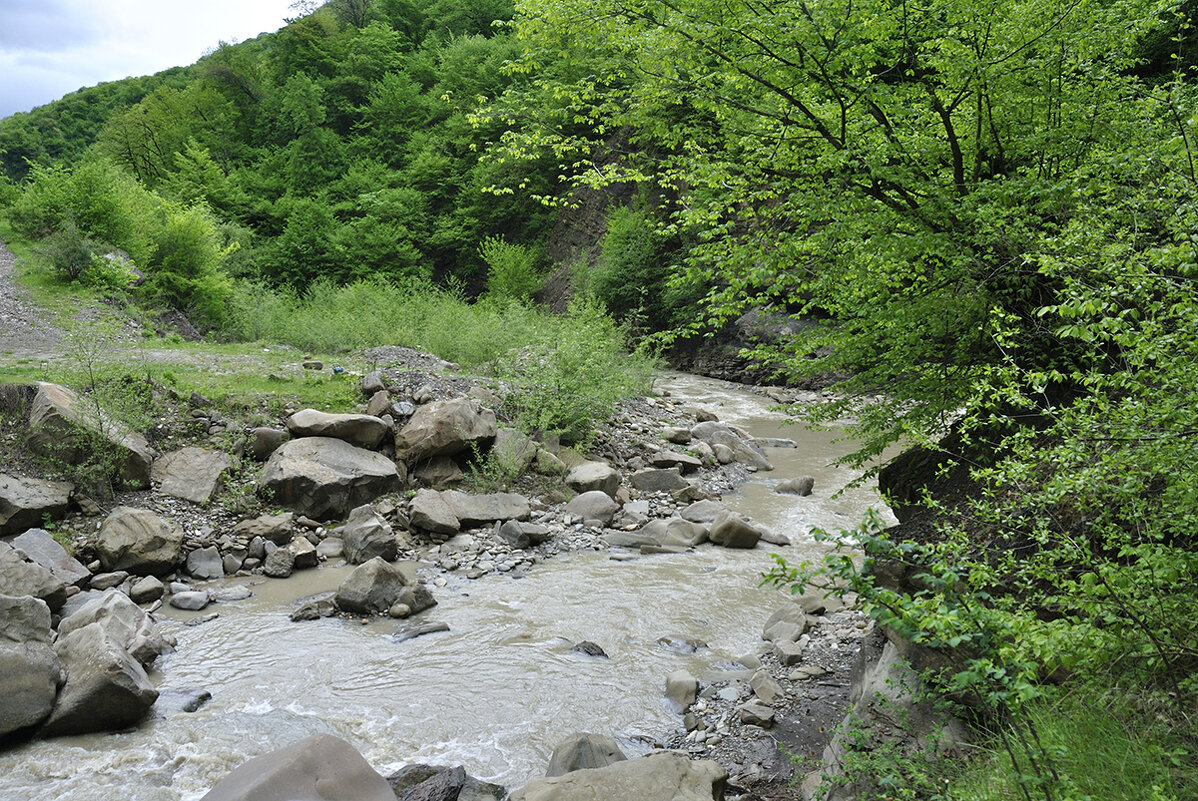 Горная речушка - Марина Виноградова