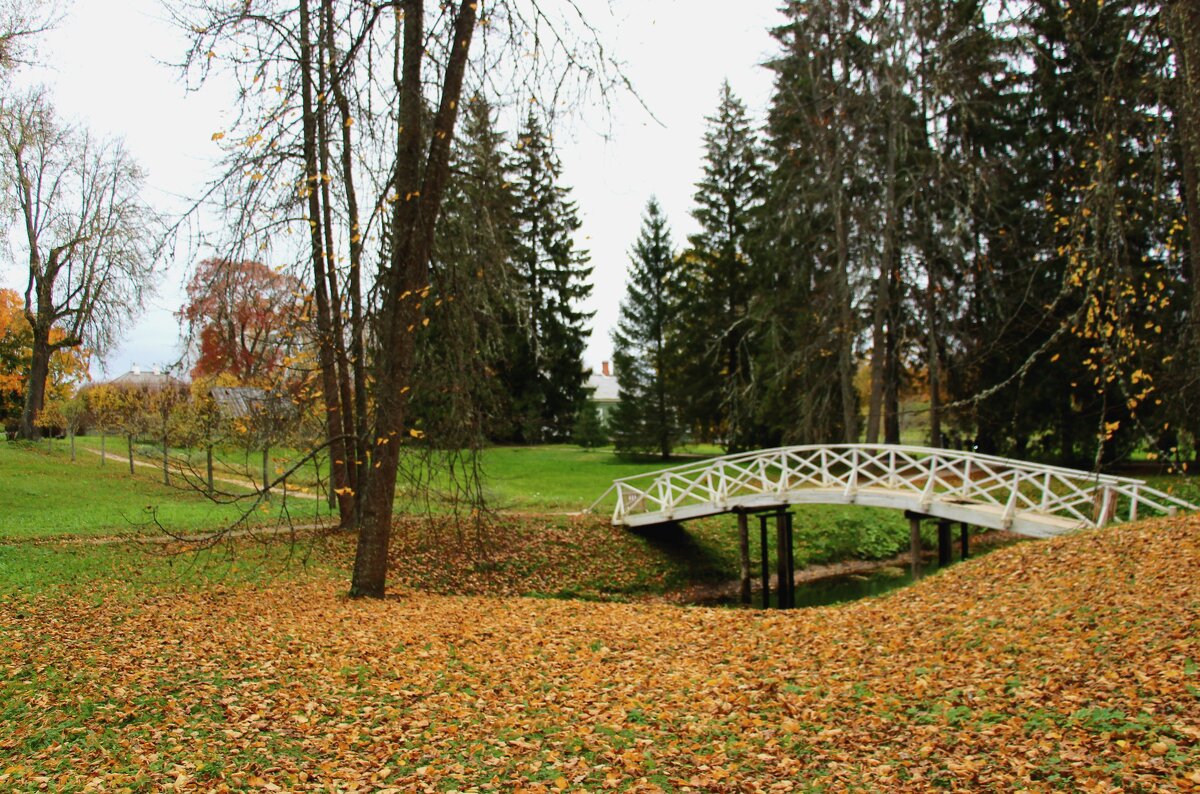 Однажды - Наталья Герасимова