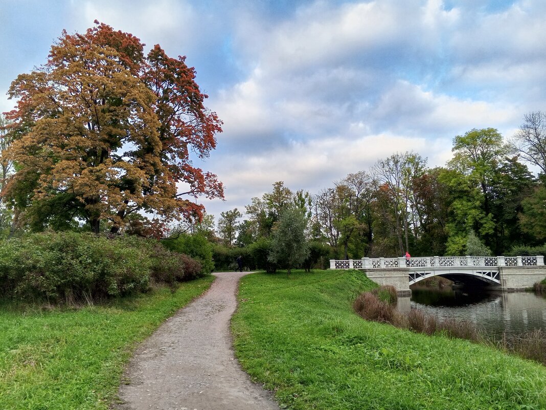 Осень - Сапсан 