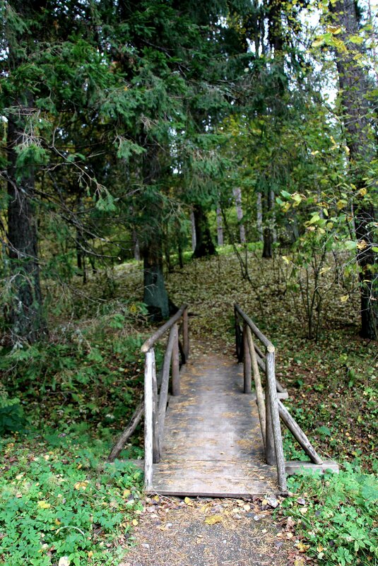 Однажды - Наталья Герасимова