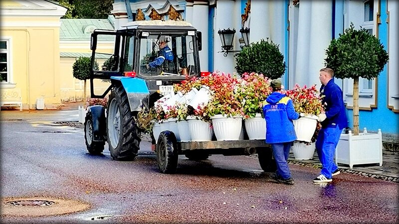 Вот и лето прошло ... - Сергей 