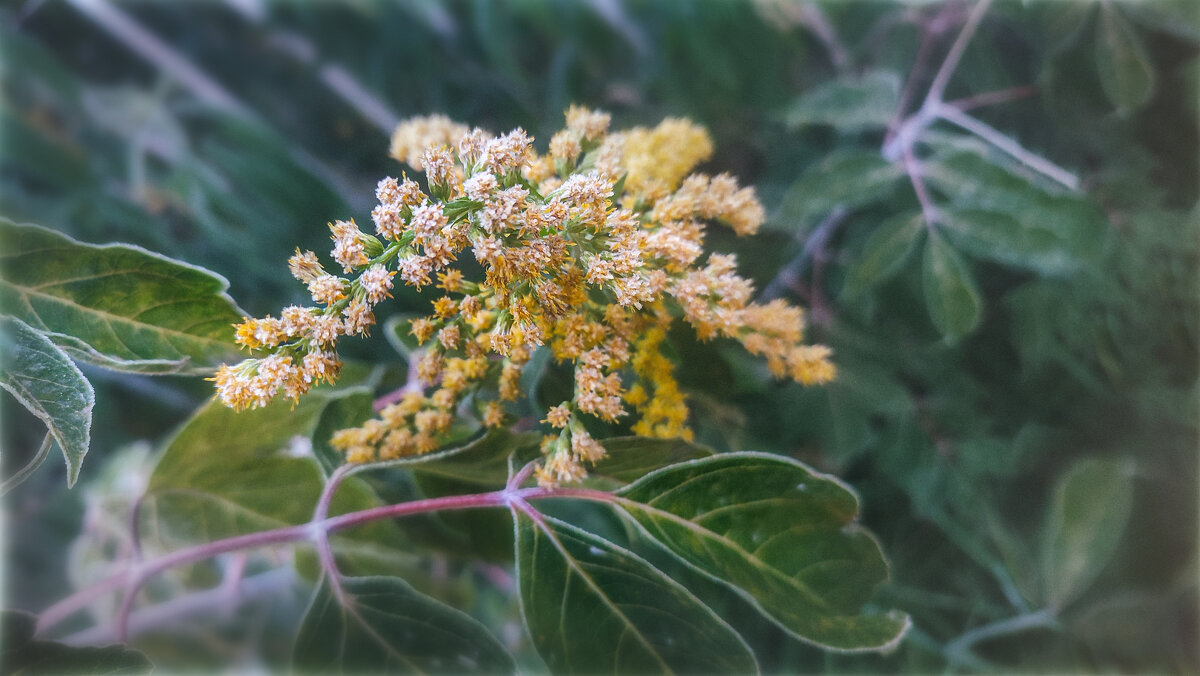 Замороженный - AZ east3