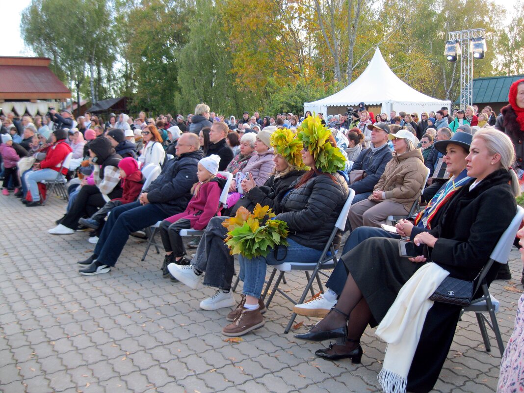 Зрители - Galina Solovova