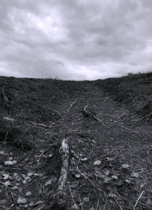 А что там, дальше ? - Лариса Корж
