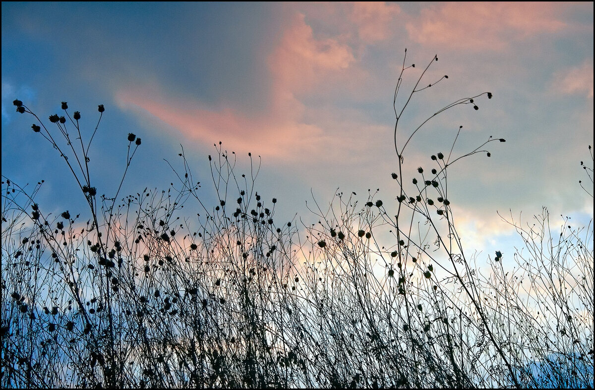 Осень - **** vedin