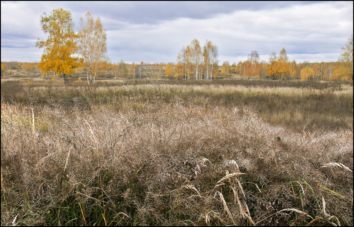 Осень - **** vedin