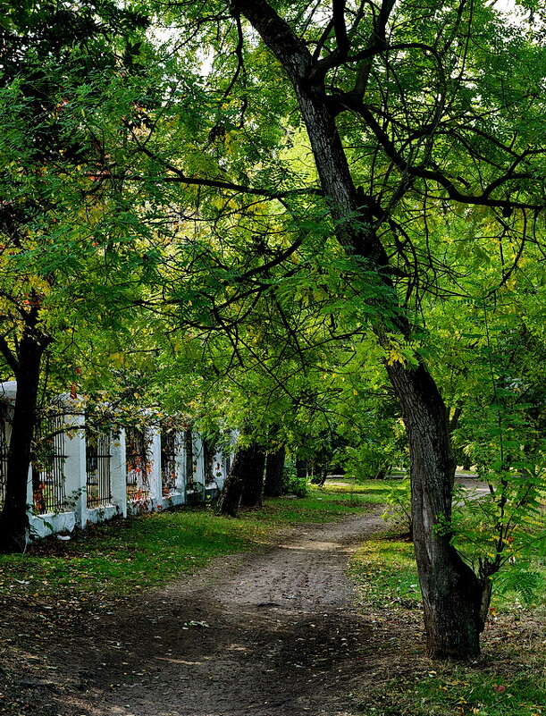 В парке... - Николай Саржанов